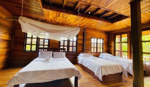 Bed in 6-Bed Mixed Dormitory Room