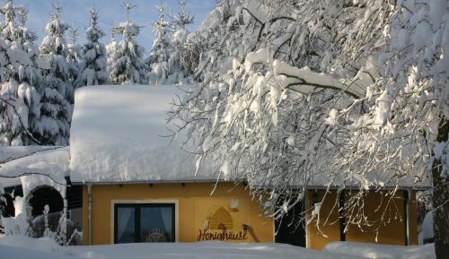 One-Bedroom Holiday Home