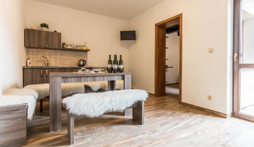 Apartment with Terrace