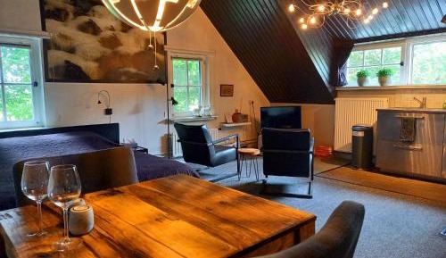 Deluxe Double or Twin Room with Garden View