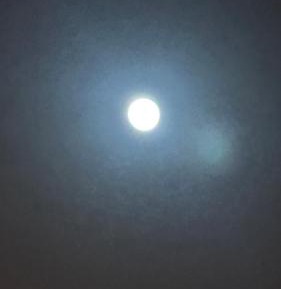 Double Room with Pool View