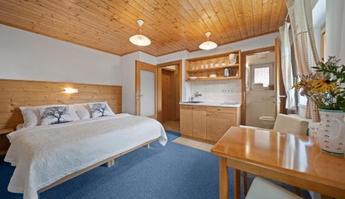 Studio Apartment with Balcony