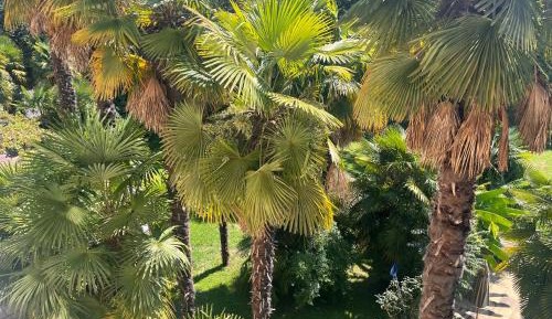 Double Room with Garden View