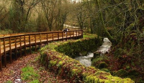 Two-Bedroom Townhouse