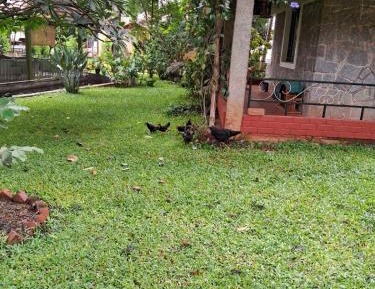 Suite with Garden View