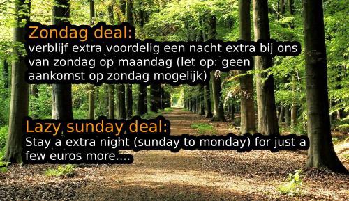 Small Two-Bedroom House with Bath Tub