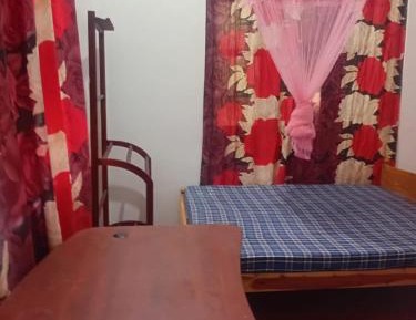 Large Double or Twin Room