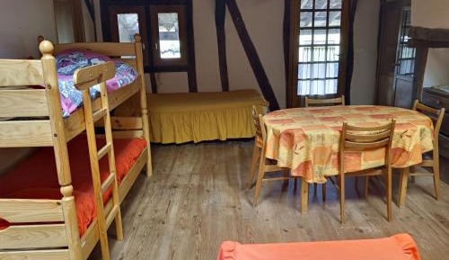 Bunk Bed in Mixed Dormitory Room