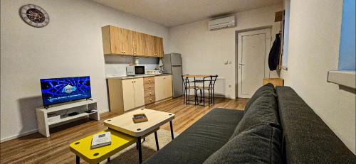 One-Bedroom Standard Apartment