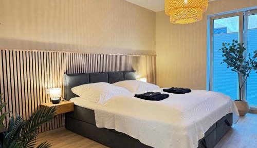 Deluxe One-Bedroom Apartment