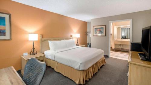 Accessible King Roll-In Shower - Exterior Facing