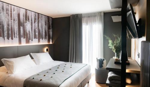 Superior Double or Twin Room with Terrace