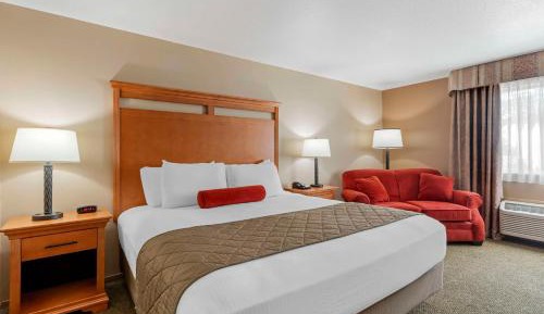 King Room with Roll-In Shower - Disability Access