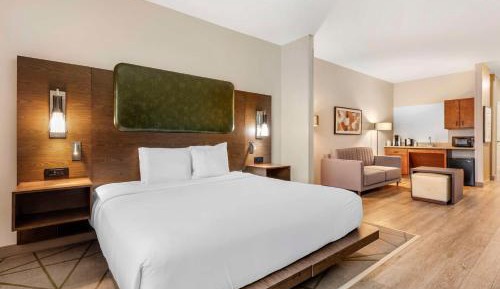 King Room with Mobility Accessible Roll-In Shower