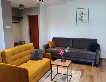 One-Bedroom Apartment with View