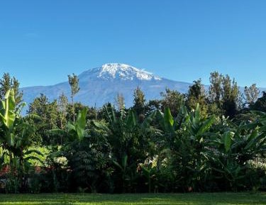 King Room with Mountain View