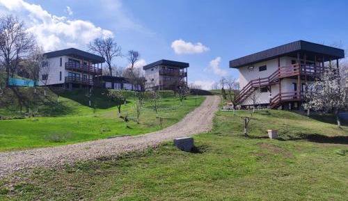 One-Bedroom Premium Apartment