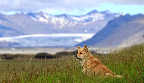 Two-Bedroom Apartment with Mountain View