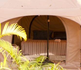 Tent