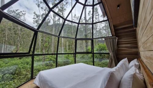 Family Room with Balcony