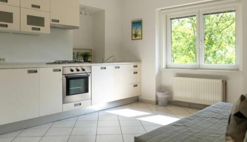 One-Bedroom Apartment with Garden View