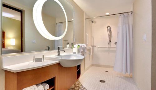 King Studio with Sofa Bed and Roll-in Shower - Mobility Accessible