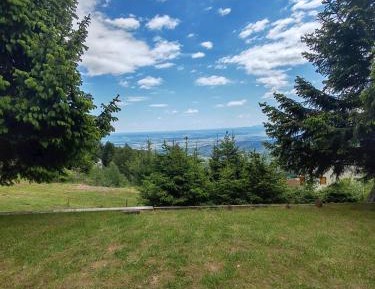 Three-Bedroom Apartment Suite