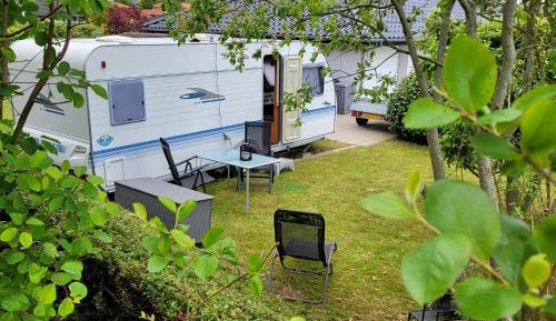 Mobile Home