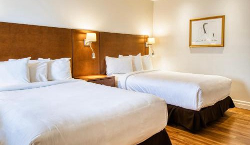 Double Room with Two Double Beds