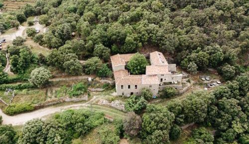 Family Room with Mountain View