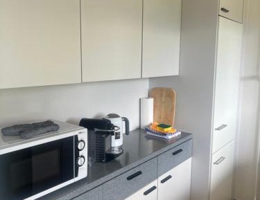 One-Bedroom Apartment with Balcony and Mountain View  