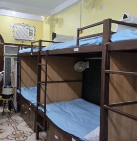 Bed in 8-Bed Dormitory Room