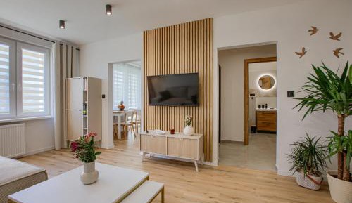 One-Bedroom Apartment with River View