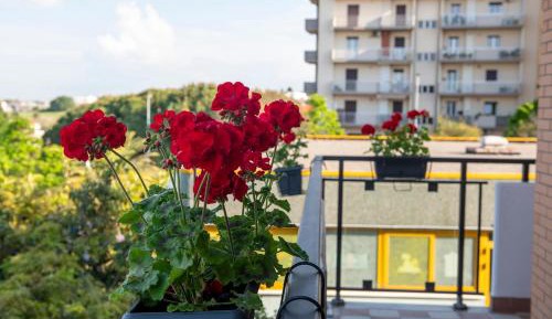 Superior Apartment with Balcony