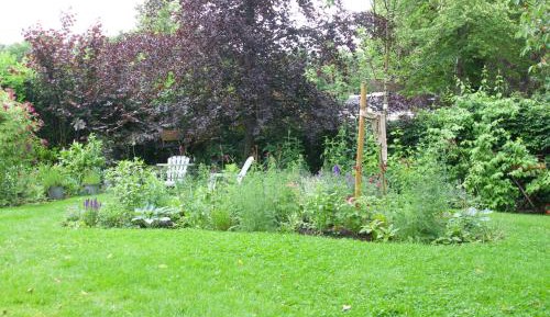 Studio with Garden View