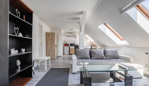 Penthouse Apartment