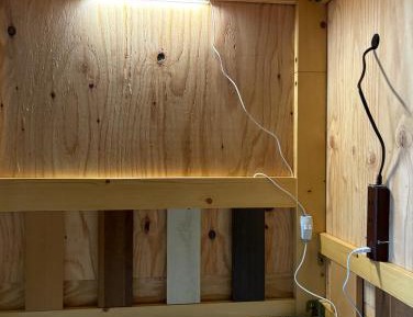 4-Bed Mixed Dormitory Room