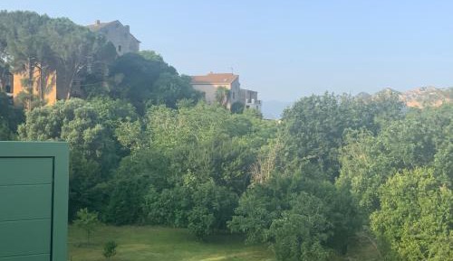 Double Room with Garden View