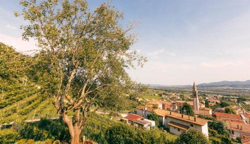 Superior One-Bedroom Apartment with Balcony