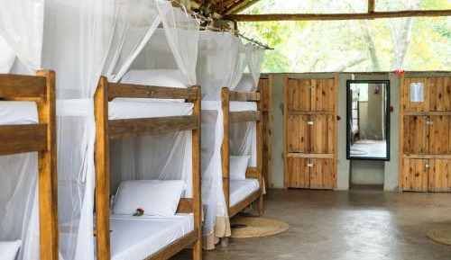 Single Bed in Mixed Dormitory Room