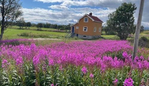 Holiday Home