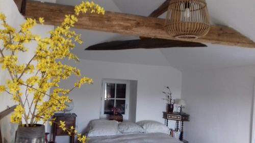 Double Room with Patio