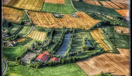 Double or Twin Room - Disability Access