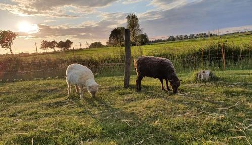 One-Bedroom Standard Apartment