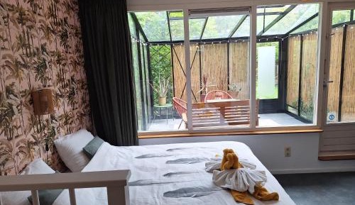 Studio with Garden View