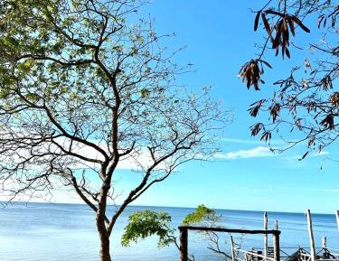 Deluxe Double Room with Balcony and Sea View