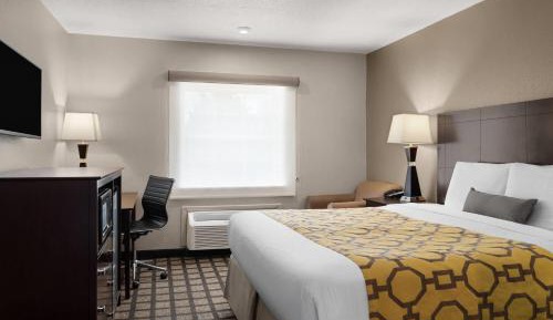 King Room - Non-Smoking