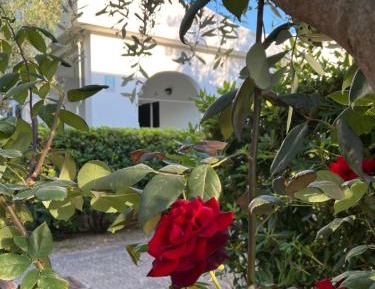 Two-Bedroom Bungalow