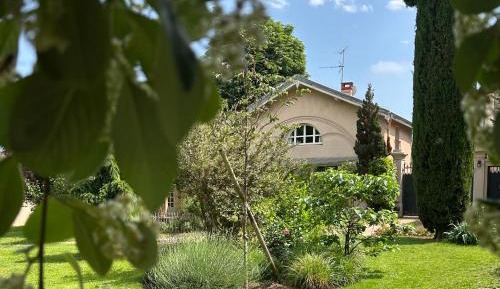 King Suite with Vineyard View