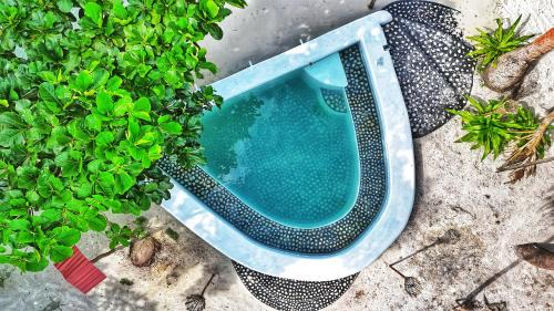 King Room with Sea View